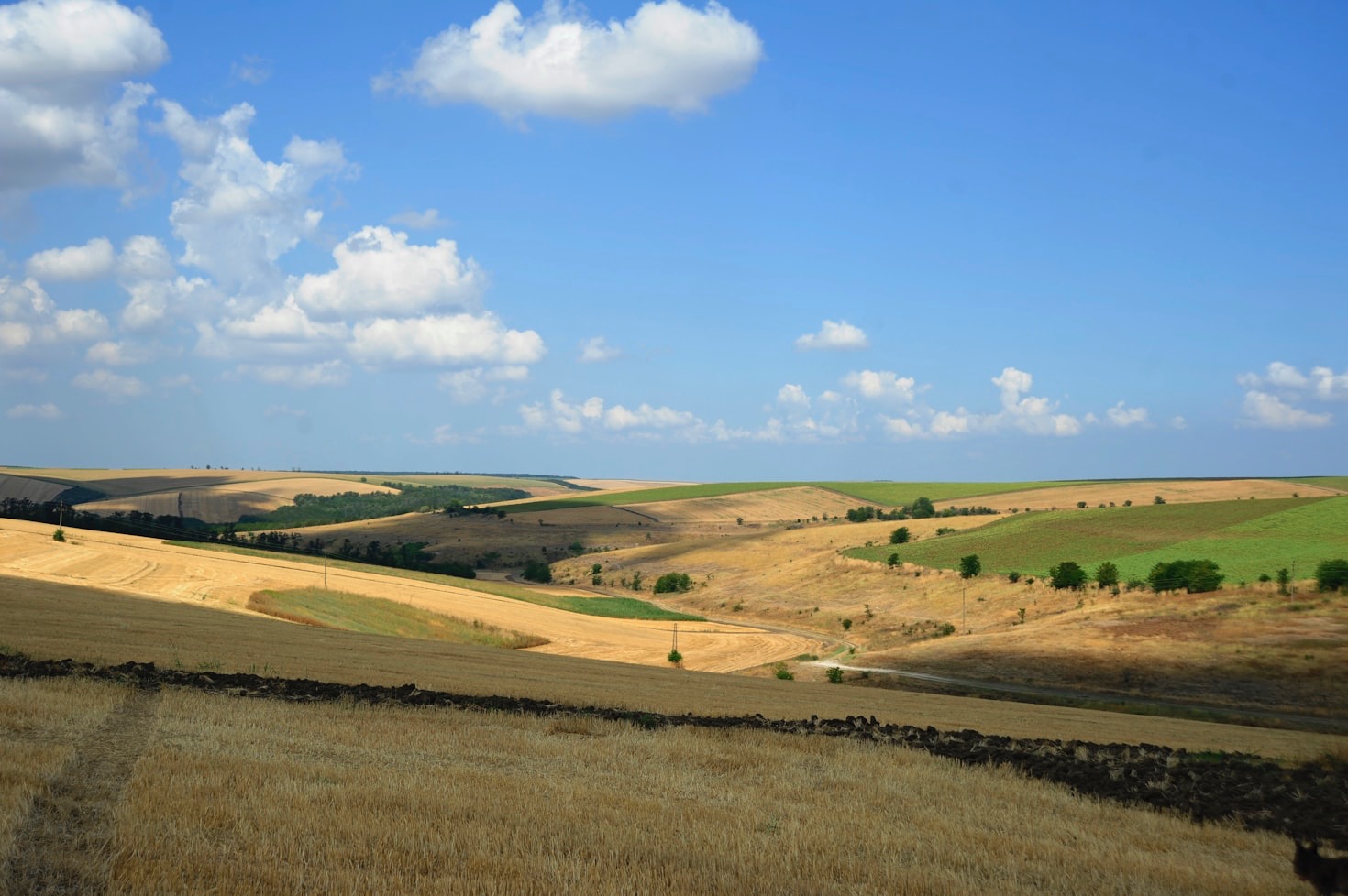 Why Sunrise Land Sales Is Your Best Choice